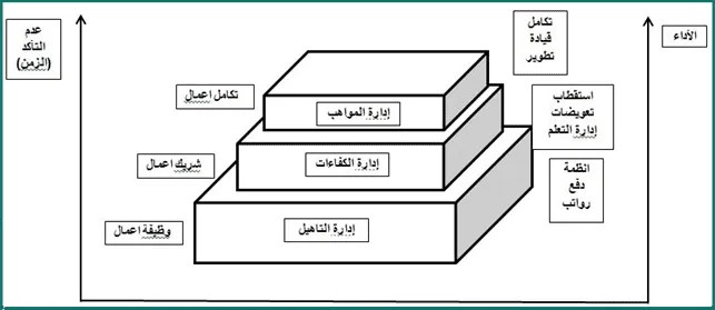 إدارة المواهب