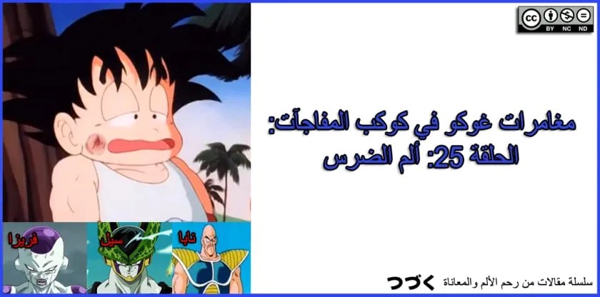 مغامرات غوكو في كوكب المفاجآت: الحلقة&nbsp;25