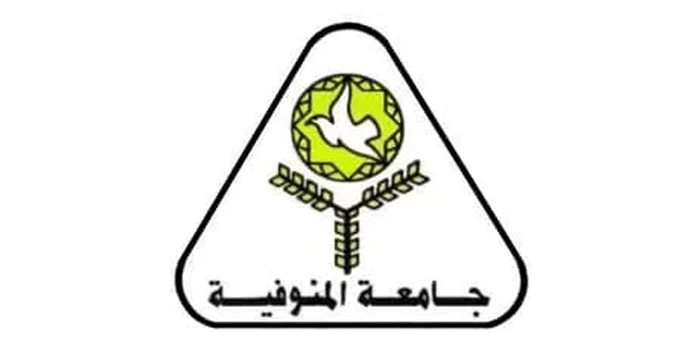 دور أسلوب الإدارة المرئية في عملية التعلم التنظيمي